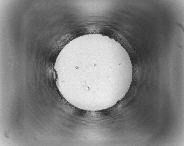 X0000102260329200808151846