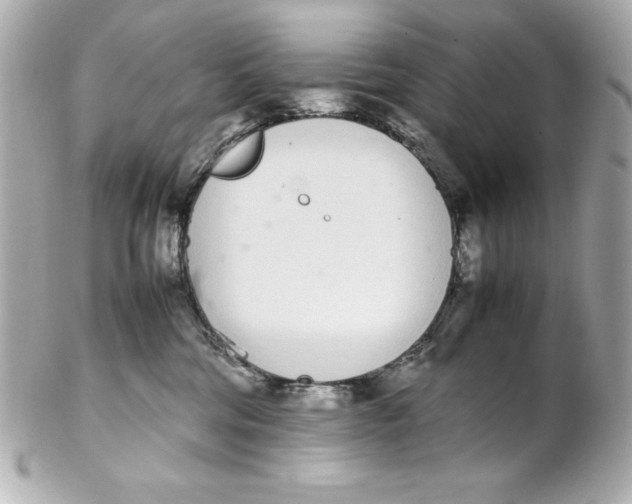 X0000102260330200808151846