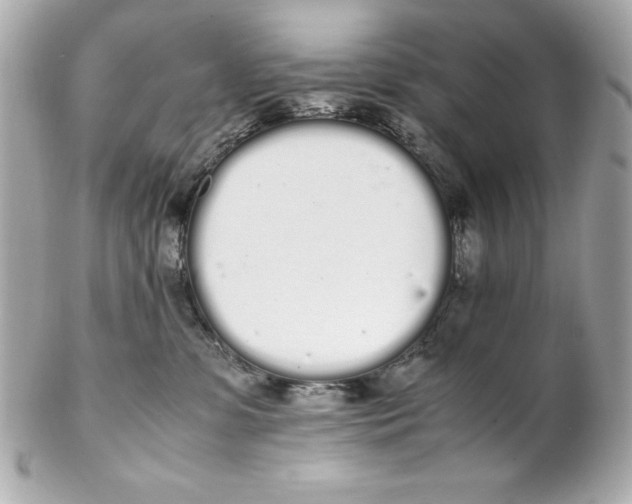 X0000102260331200808151846