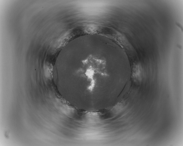 X0000102260332200808151846