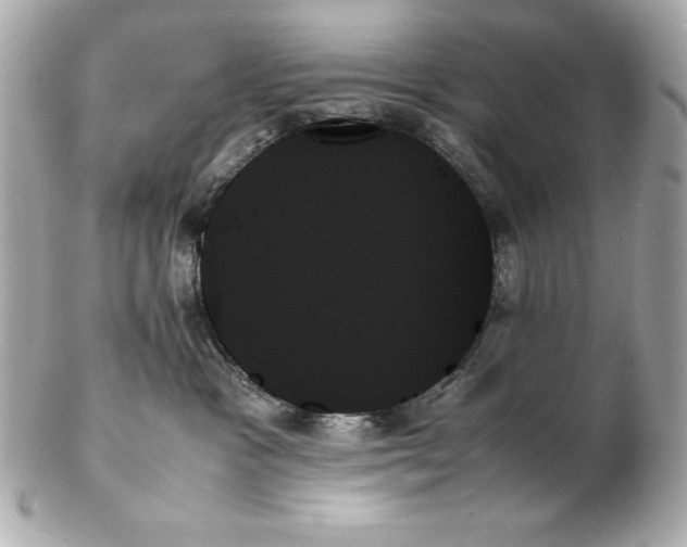 X0000102260333200808151846