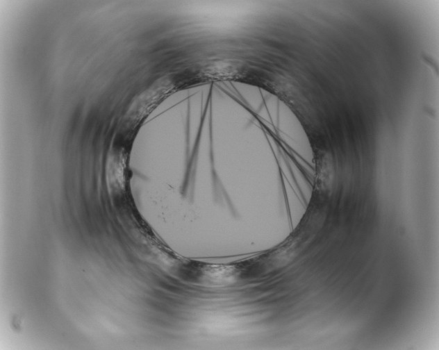 X0000102260334200808151846