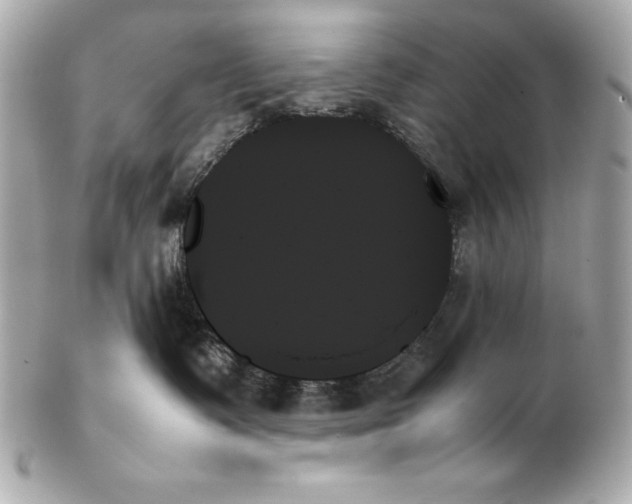 X0000102260335200808151846