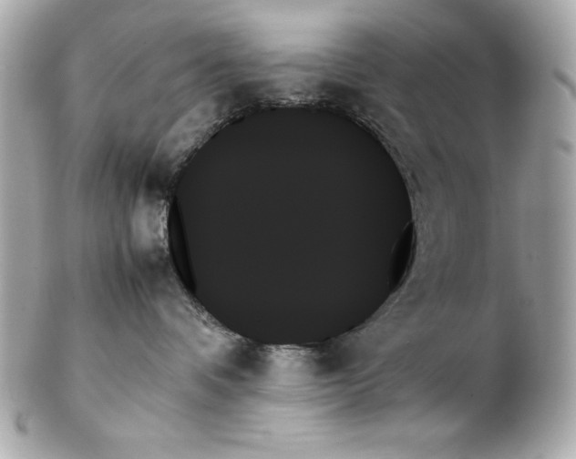 X0000102260336200808151846