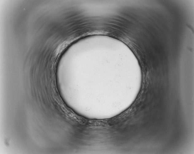X0000102260337200808151845