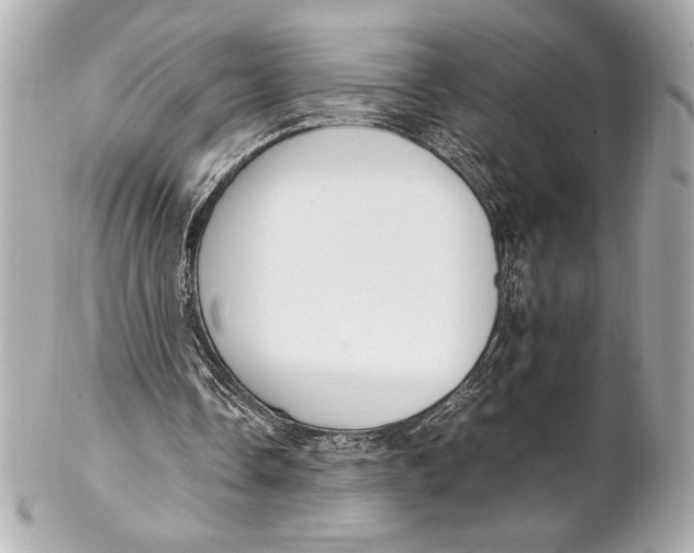 X0000102260338200808151845
