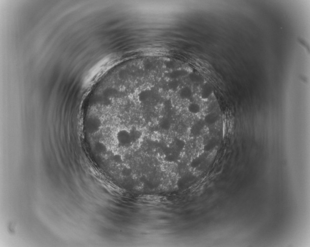 X0000102260339200808151845