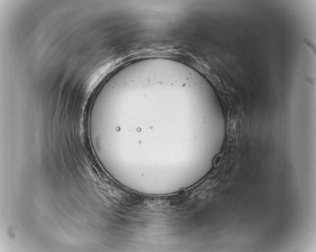 X0000102260340200808151845