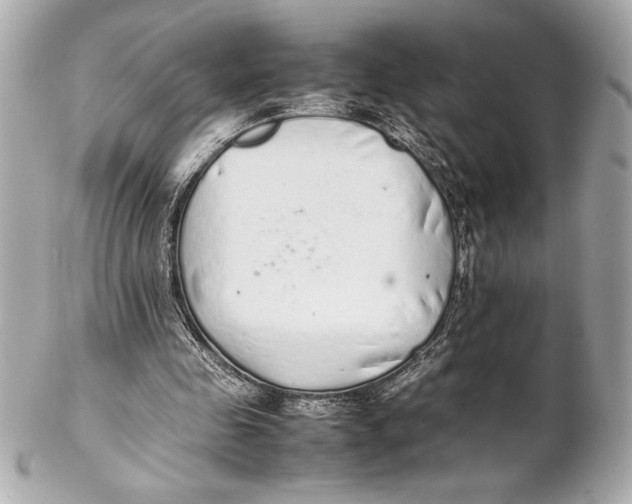 X0000102260341200808151846