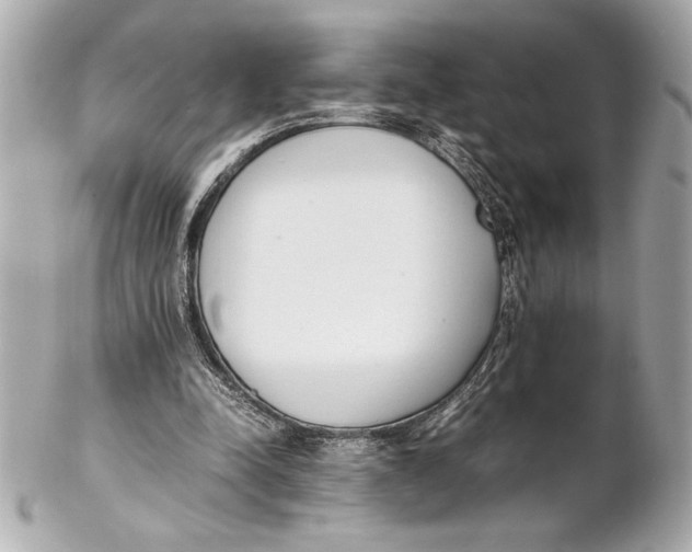 X0000102260342200808151846
