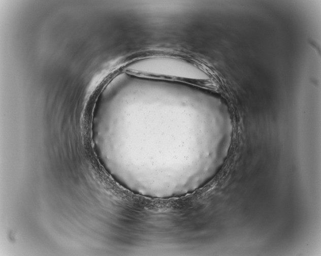 X0000102260343200808151846