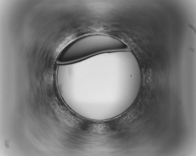 X0000102260344200808151846