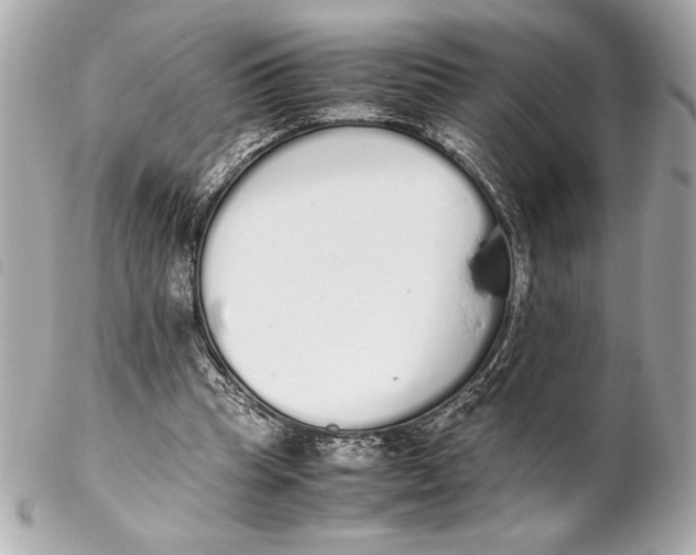 X0000102260345200808151846
