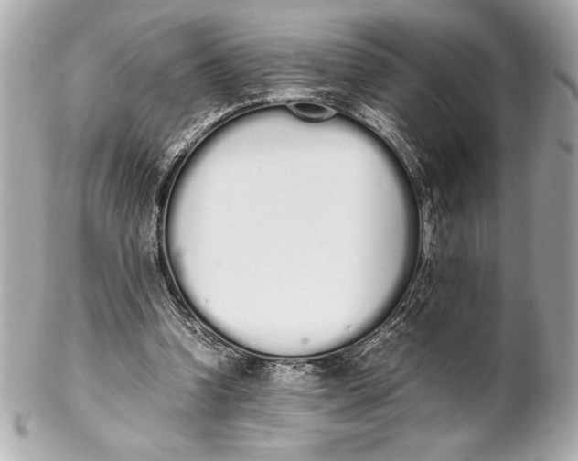 X0000102260346200808151846