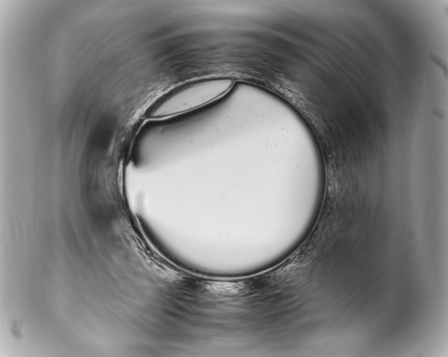 X0000102260347200808151846