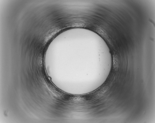 X0000102260348200808151846