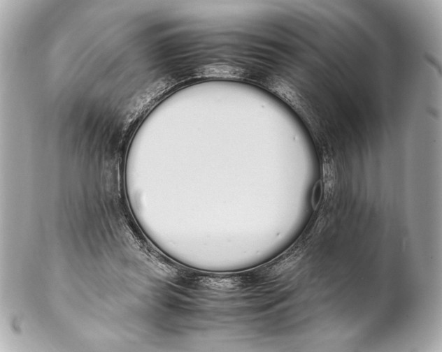 X0000102260349200808151846
