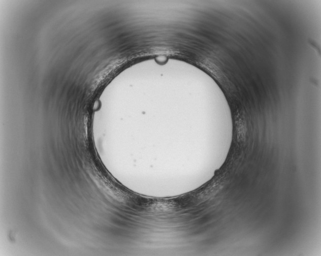 X0000102260350200808151846