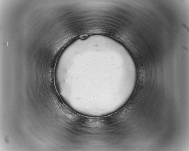 X0000102260351200808151846