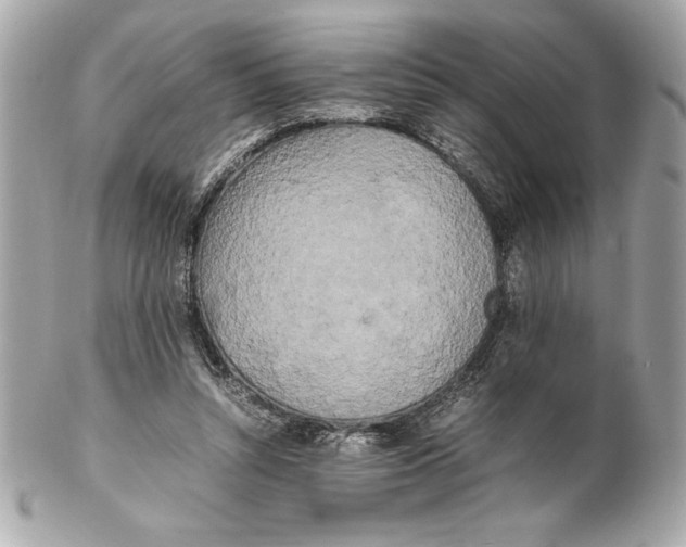 X0000102260352200808151846