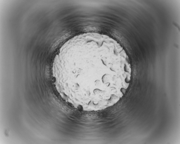 X0000102260353200808151846