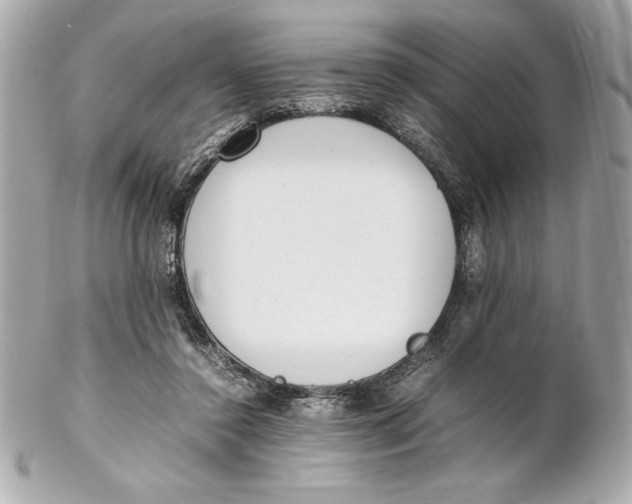 X0000102260356200808151846