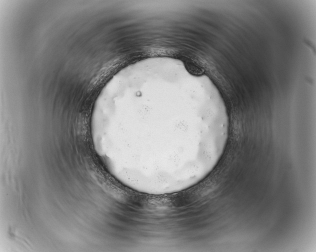 X0000102260357200808151846