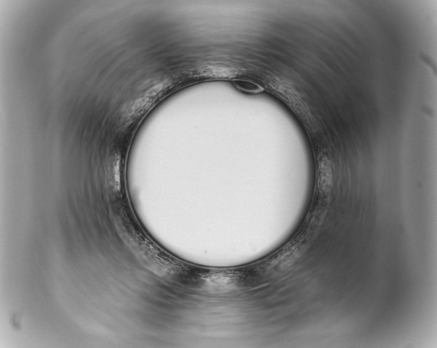 X0000102260358200808151846