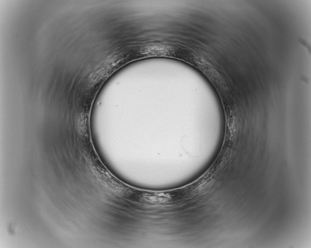 X0000102260359200808151846