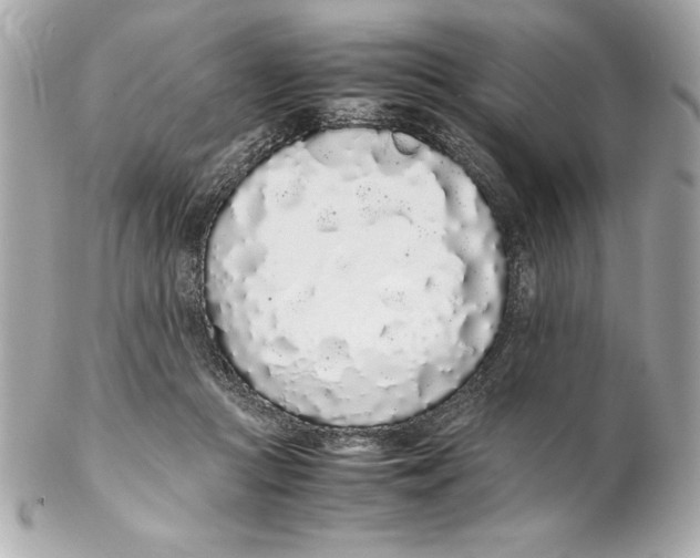 X0000102260361200808151846