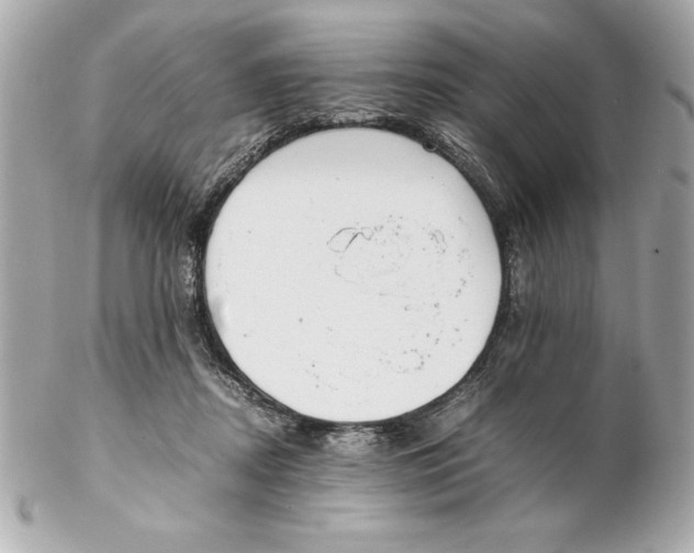 X0000102260362200808151846