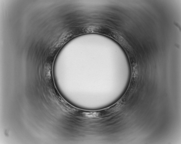 X0000102260363200808151846