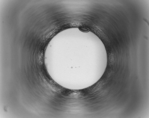 X0000102260364200808151846