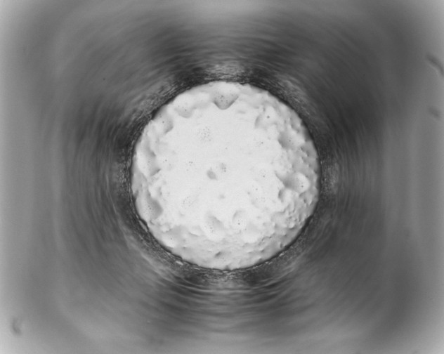 X0000102260365200808151846