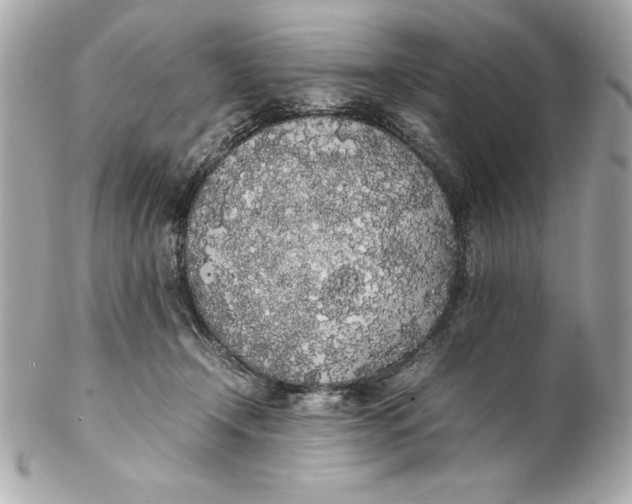 X0000102260366200808151846