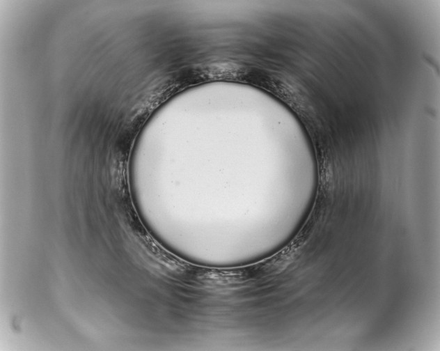X0000102260367200808151846