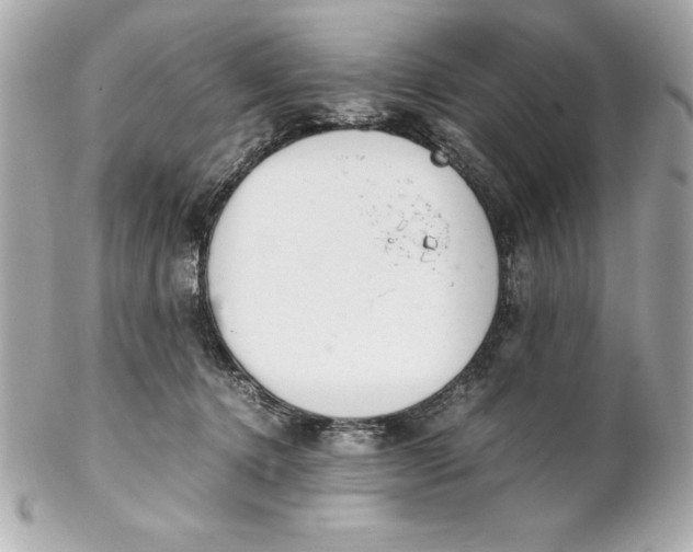 X0000102260368200808151846