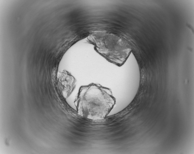 X0000102260369200808151846