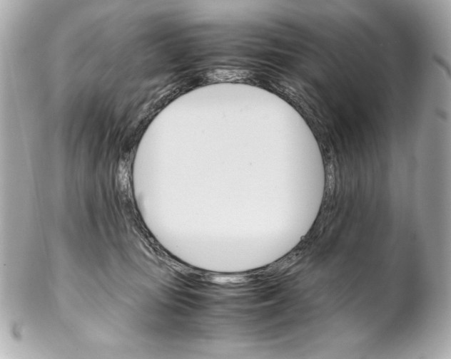 X0000102260371200808151846