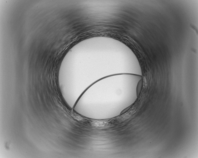 X0000102260372200808151846