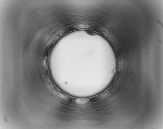 X0000102260373200808151846