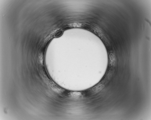 X0000102260374200808151846