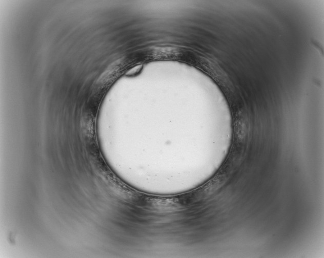 X0000102260375200808151846