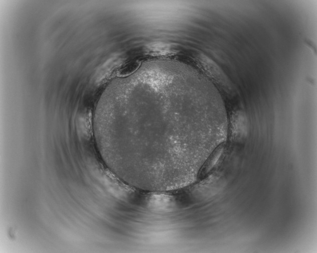 X0000102260376200808151846