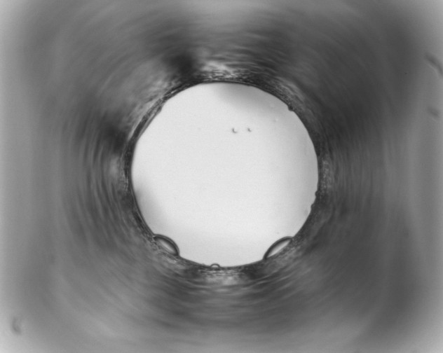 X0000102260377200808151846