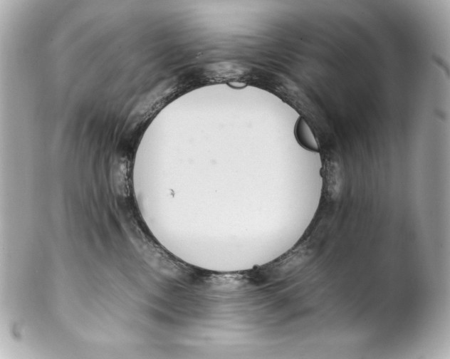 X0000102260378200808151846