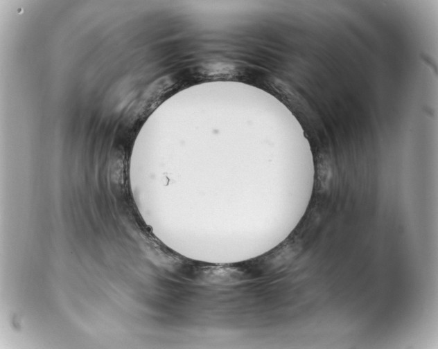X0000102260379200808151846