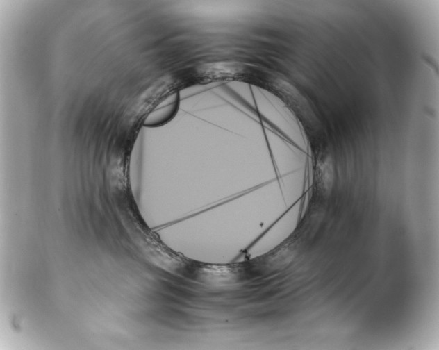 X0000102260381200808151846