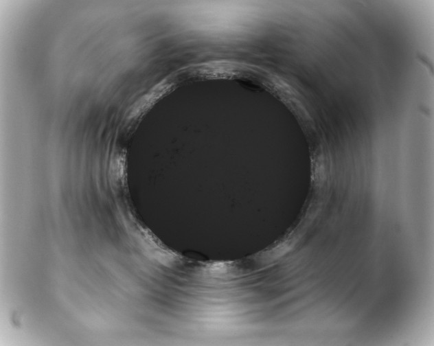 X0000102260382200808151846