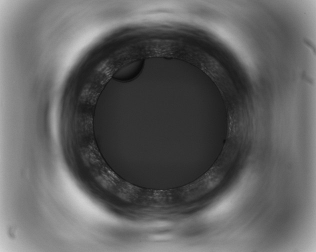 X0000102260383200808151846